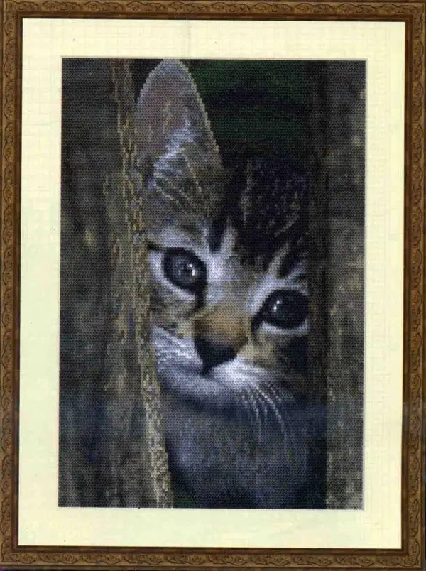 Coricamo ZN-14CT Counted Canvas DIY,Cross-Stitch Kits, Embroidery, Handmade Embroidery, Kitten, 30-39, 8537
Coricamo ZN-14CT Counted Canvas DIY,Cross-Stitch Kits, Embroidery, Handmade Embroidery, Kitten, 30-39, 8537
