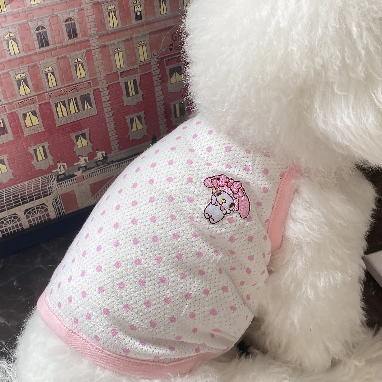 Kawaii Sanrio Pet Clothes My Melody Accessories Cute Beauty Cartoon Anime Summer Camisole Thin Anti-Shedding Toys Girls Gift
Kawaii Sanrio Pet Clothes My Melody Accessories Cute Beauty Cartoon Anime Summer Camisole Thin Anti-Shedding Toys Girls Gift