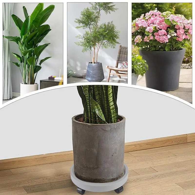 Круглая подвижная подставка для цветочного горшка с колесами, сверхмощный горшок для бонсай, мобильный поднос, многофункциональное основание для цветочного диска
Круглая подвижная подставка для цветочного горшка с колесами, сверхмощный горшок для бонсай, мобильный поднос, многофункциональное основание для цветочного диска