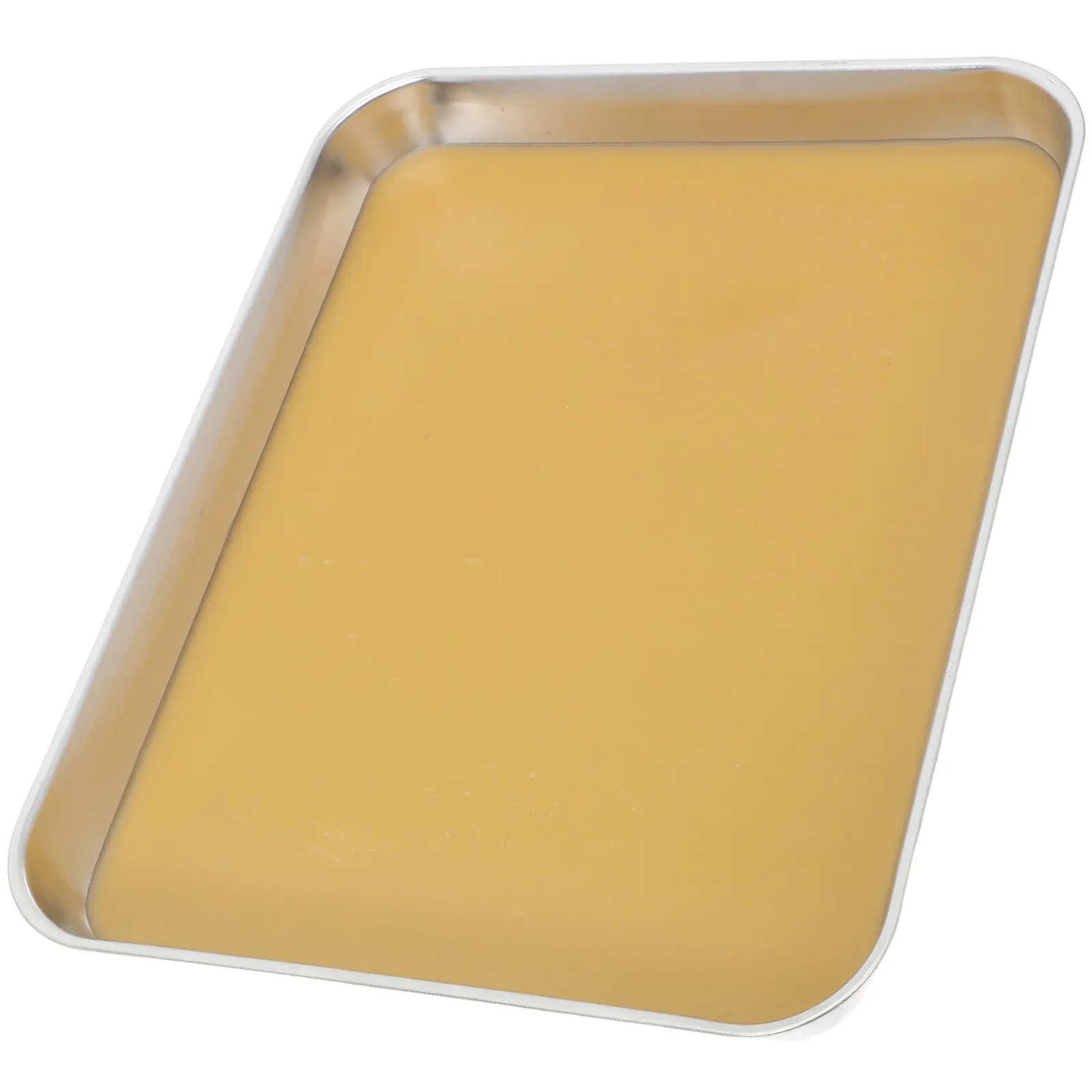 Stainless Steel Dissection Tray with Wax Lining for Biology Labs Middle High School Metal Dissecting Pan Laboratory Tool
Stainless Steel Dissection Tray with Wax Lining for Biology Labs Middle High School Metal Dissecting Pan Laboratory Tool