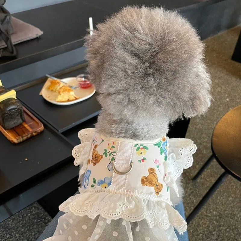 1/Set INS Adorable Floral Dog Lea Vest Small Dogs Teddy Bichon Pet Chest Strap Cute Dog Walking Harn Non-Extensible Pet Supplies
1/Set INS Adorable Floral Dog Lea Vest Small Dogs Teddy Bichon Pet Chest Strap Cute Dog Walking Harn Non-Extensible Pet Supplies