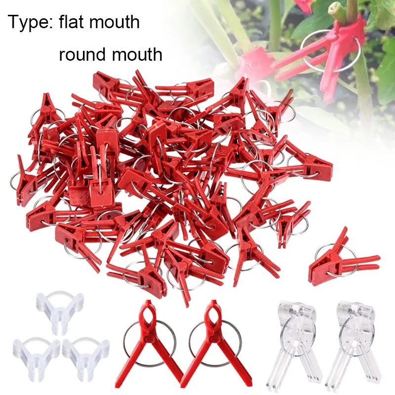 25-100PCS Plant Grafting Clip Plastic Gardening Cucumber Eggplant Watermelon, Round Mouth Flat Mouth Anti-fall Clamp
25-100PCS Plant Grafting Clip Plastic Gardening Cucumber Eggplant Watermelon, Round Mouth Flat Mouth Anti-fall Clamp
