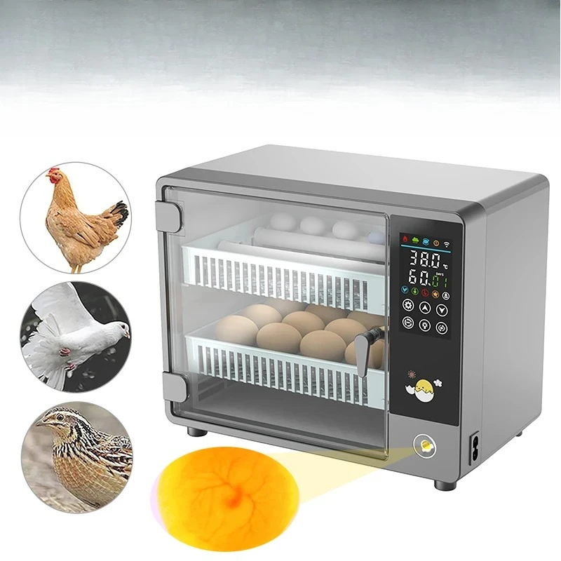 24 Egg Incubator Full Automatic Touch Temperature Control Farm Hatchery Machine Chicken Duck Quail Bird Brooder Eggs Incubator
24 Egg Incubator Full Automatic Touch Temperature Control Farm Hatchery Machine Chicken Duck Quail Bird Brooder Eggs Incubator