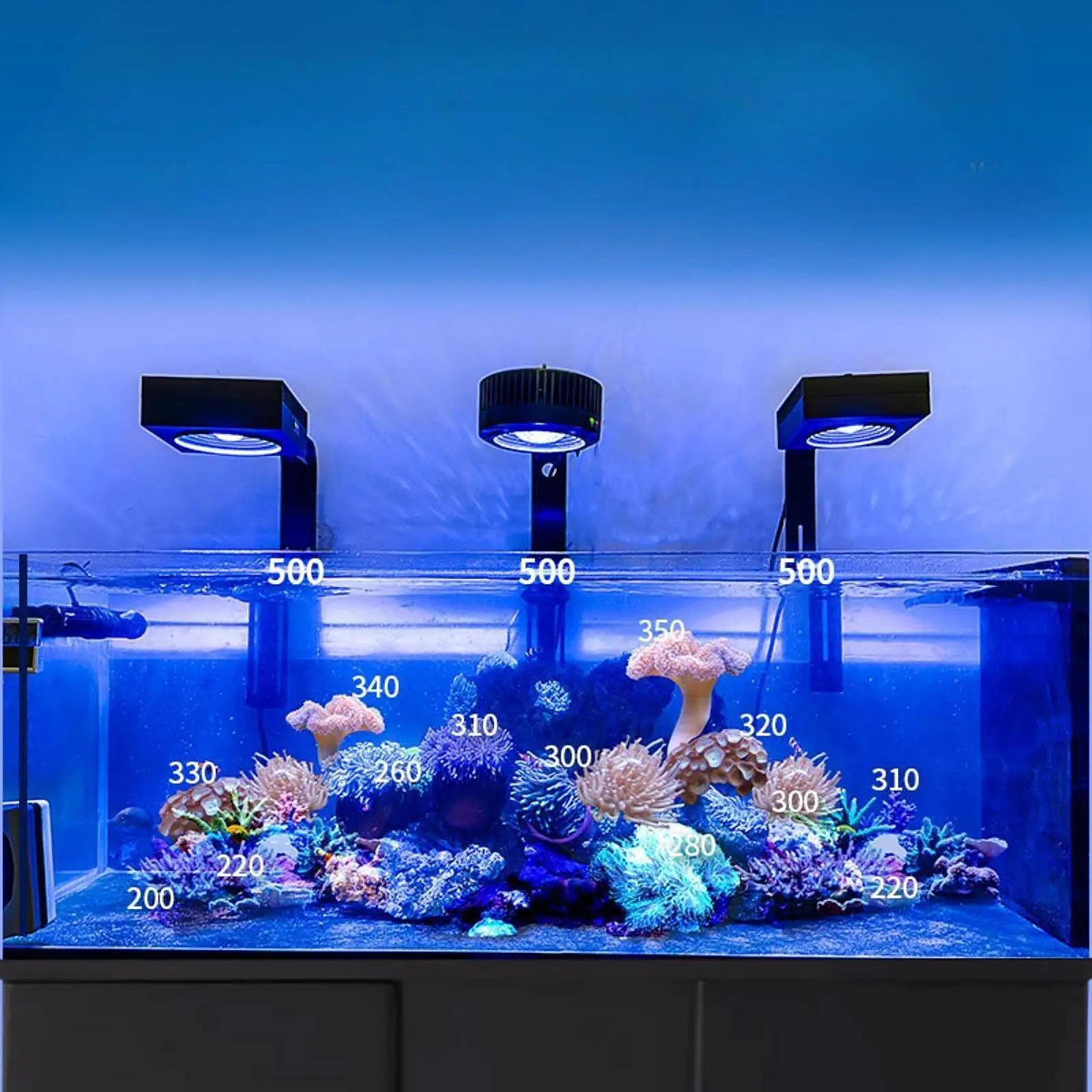 Sturdy Extendable Aquarium Lamp Mounting Bracket Black Finish Light Stand for Saltwater Freshwater Fish Tanks
Sturdy Extendable Aquarium Lamp Mounting Bracket Black Finish Light Stand for Saltwater Freshwater Fish Tanks