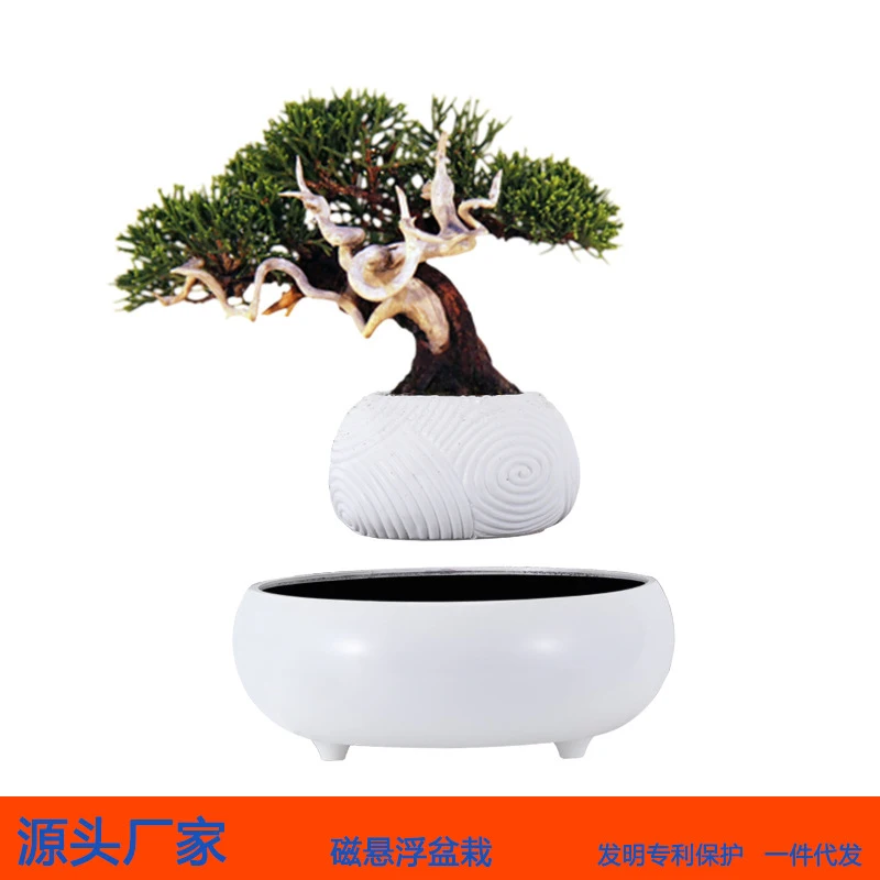Magnetic levitation potted plant, floating plants for living room and office desktop, feng shui creative decoration, asparagus f
Magnetic levitation potted plant, floating plants for living room and office desktop, feng shui creative decoration, asparagus f
