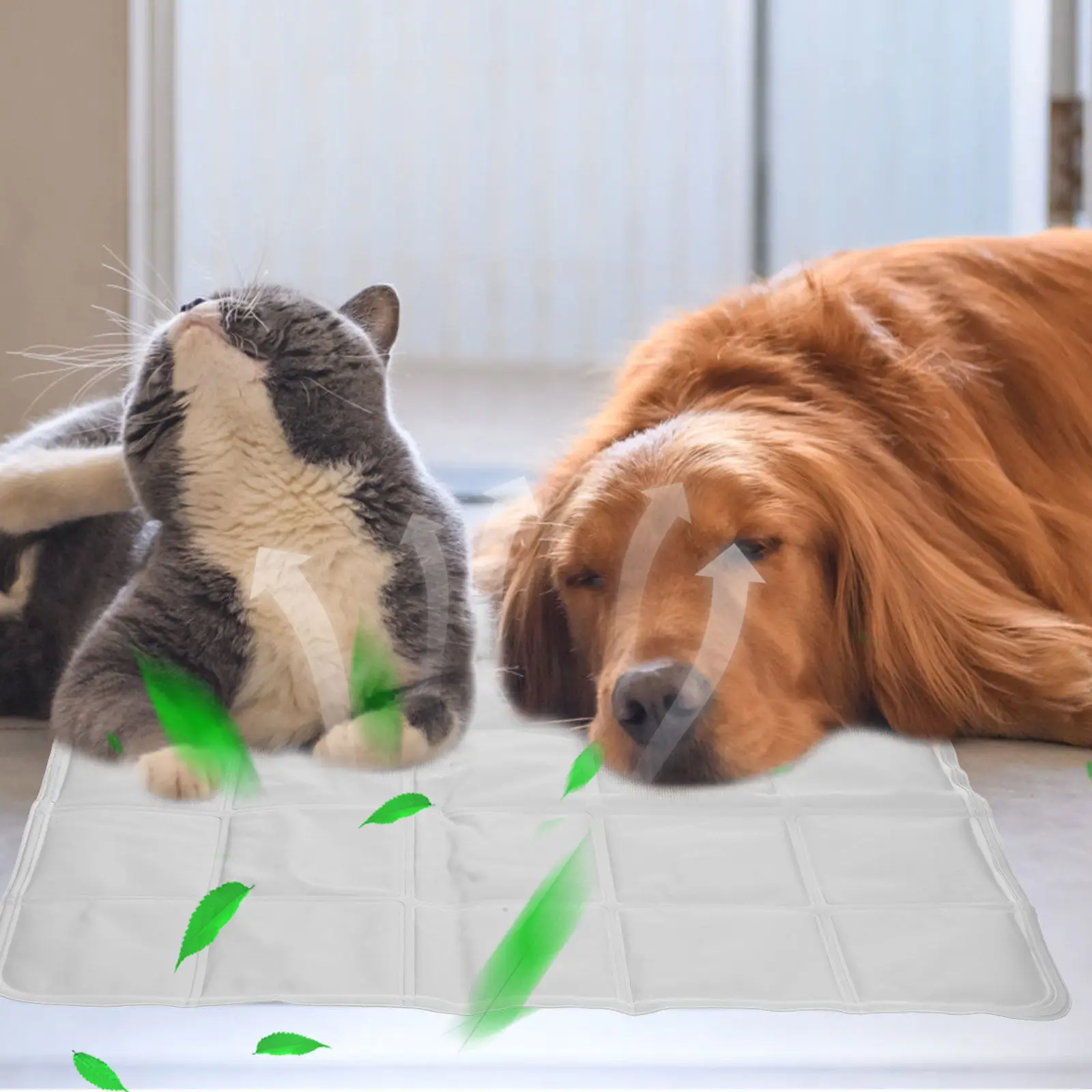 Pet Cooling Mat for Dogs Cats Cooling Pad Summer Sleeping Nest Reusable Lightweight Foldable Nonskid Breathable Dog Sleep Mat
Pet Cooling Mat for Dogs Cats Cooling Pad Summer Sleeping Nest Reusable Lightweight Foldable Nonskid Breathable Dog Sleep Mat