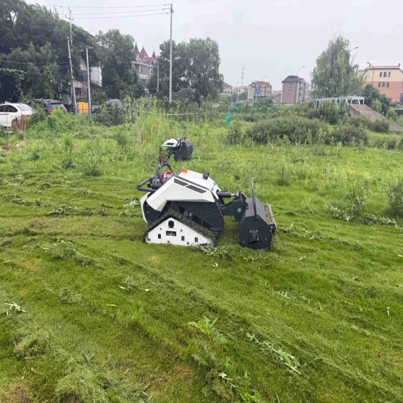 GRACE 500mm Pro 2026 Remote Control Crawler Lawn Mower Hot Selling Wide Cut RC Grass Cutter Free Shipping
GRACE 500mm Pro 2026 Remote Control Crawler Lawn Mower Hot Selling Wide Cut RC Grass Cutter Free Shipping