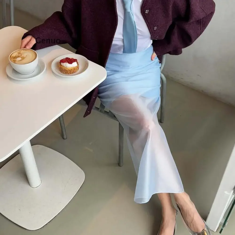 Women's Summer New Arrival Designer Style Sheer High Waist Midi Skirt Stylish Elegant Casual Party Skirt
Women's Summer New Arrival Designer Style Sheer High Waist Midi Skirt Stylish Elegant Casual Party Skirt