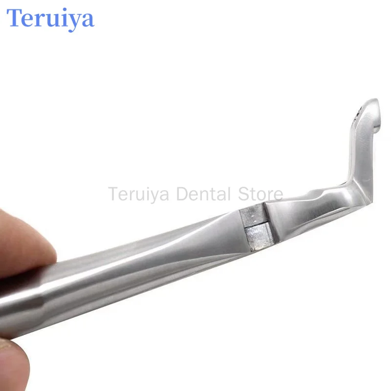Professional Dental Extraction Forceps High-End Universal Oral Tool For Impacted Teeth Wisdom Teeth Extraction Clinic Instrument
Professional Dental Extraction Forceps High-End Universal Oral Tool For Impacted Teeth Wisdom Teeth Extraction Clinic Instrument