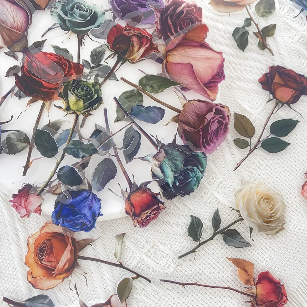 50Pcs Dried Rose Graffiti Transparent Stickers Scrapbooking Collage Material Guitar Skateboarding Diary Waterproof Sticker
50Pcs Dried Rose Graffiti Transparent Stickers Scrapbooking Collage Material Guitar Skateboarding Diary Waterproof Sticker