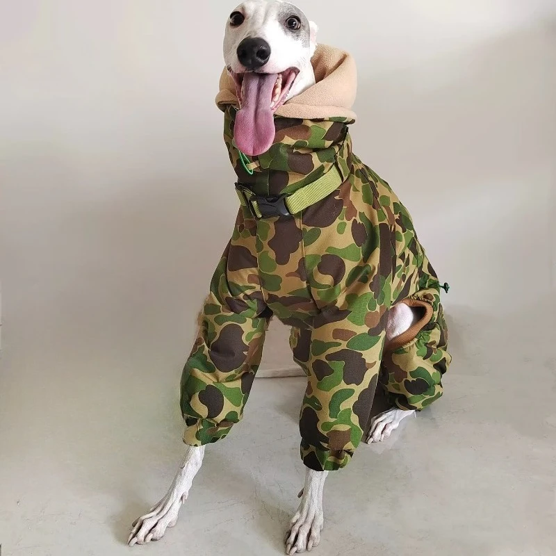 Модная супер-толстая камуфляжная одежда для собак уиппетов, зимнее водонепроницаемое износостойкое хлопковое пальто на четырех ножках для маленьких борзых
Модная супер-толстая камуфляжная одежда для собак уиппетов, зимнее водонепроницаемое износостойкое хлопковое пальто на четырех ножках для маленьких борзых