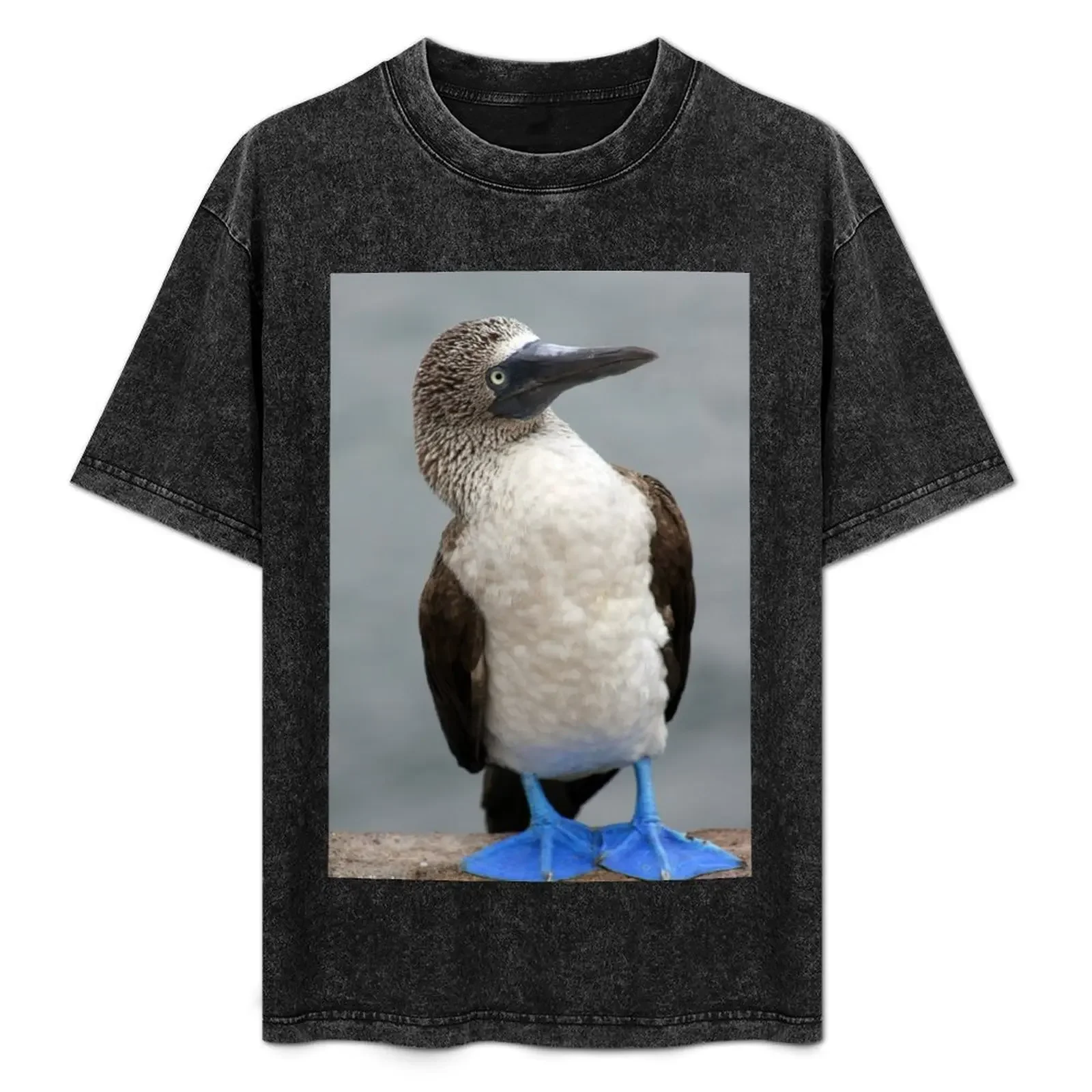 Blue Footed Booby T-Shirt boys whites cotton man t-shirts T-shirts oversize custom shirt shirts graphic tee men
Blue Footed Booby T-Shirt boys whites cotton man t-shirts T-shirts oversize custom shirt shirts graphic tee men
