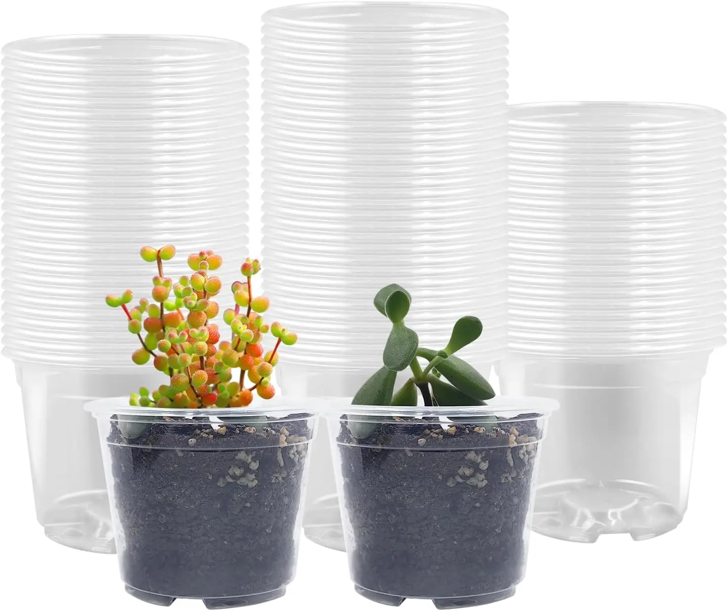 100 Pack 2.8" Clear Plant Pots with Drainage Holes, Transparent Nursery Pots for Seed Starting Germination
100 Pack 2.8" Clear Plant Pots with Drainage Holes, Transparent Nursery Pots for Seed Starting Germination