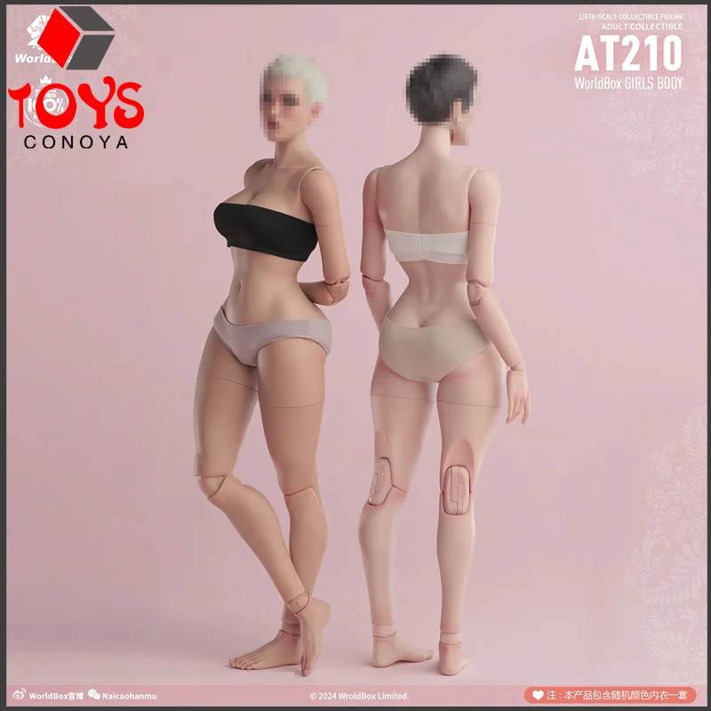 Worldbox AT210 1/6 Scale Wasp Waist D Cup Bust Joint Body 27cm Pale Light Tan Female Soldier Action Figure body Model
Worldbox AT210 1/6 Scale Wasp Waist D Cup Bust Joint Body 27cm Pale Light Tan Female Soldier Action Figure body Model