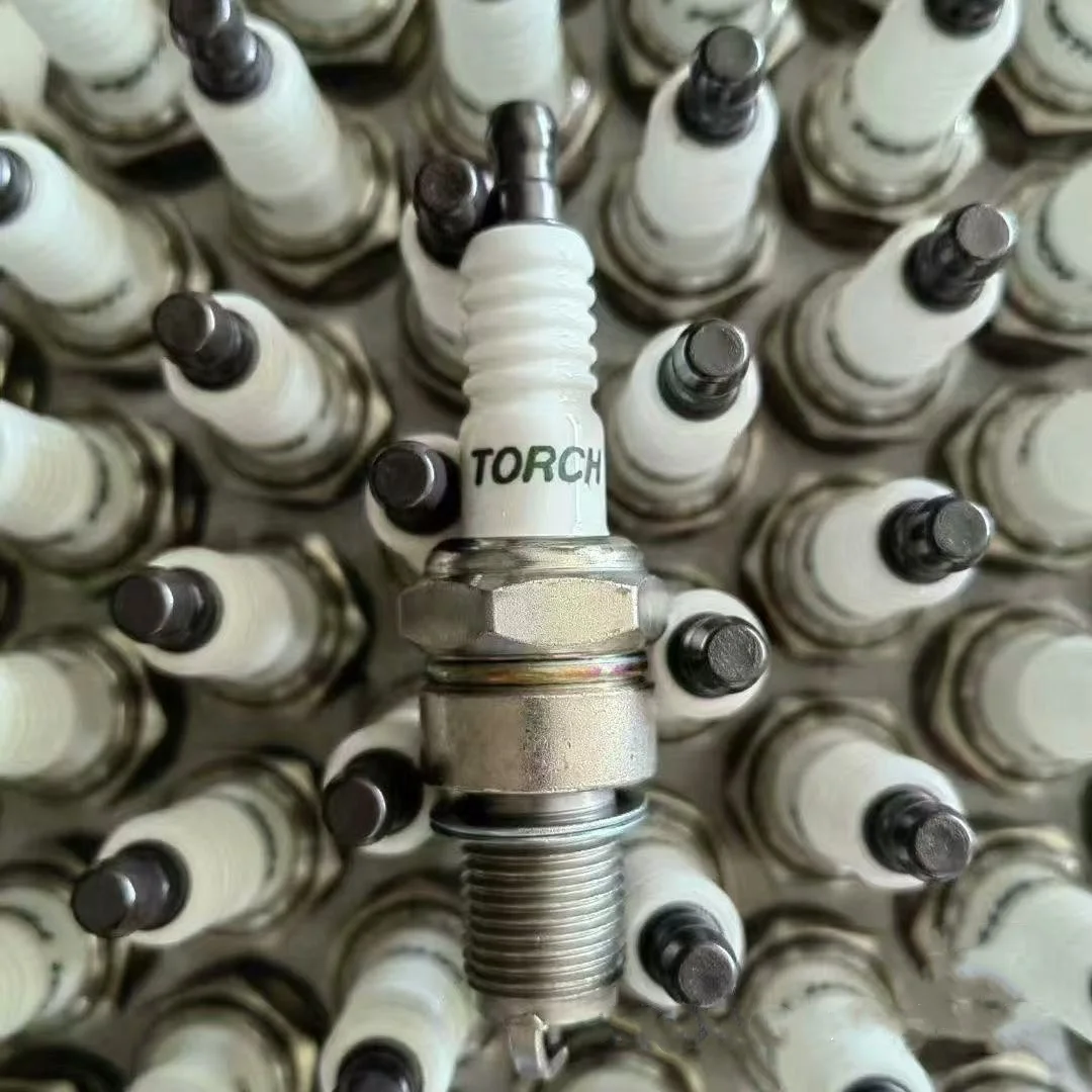 Generator D9000i Spark Plug Kit Part For Agras DJI T30 Agriculture Drone Accessories 00000374
Generator D9000i Spark Plug Kit Part For Agras DJI T30 Agriculture Drone Accessories 00000374