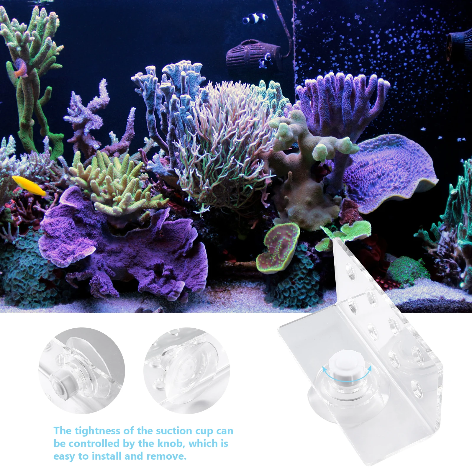 Acrylic Rack Transparent Coral Button Holder Aquarium Reef Tank Decor Cup Fixing Bracket for Coral Branch Display
Acrylic Rack Transparent Coral Button Holder Aquarium Reef Tank Decor Cup Fixing Bracket for Coral Branch Display