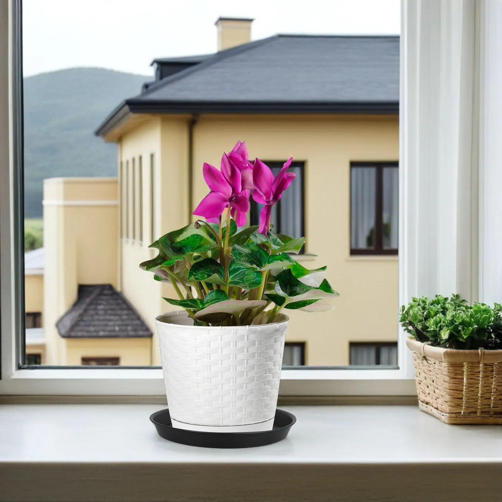 4Pcs Modern Black Plastic Flowerpot Saucers Round Planter Base Trays Drip Catching Water Protection for Indoor Plants Succulent
4Pcs Modern Black Plastic Flowerpot Saucers Round Planter Base Trays Drip Catching Water Protection for Indoor Plants Succulent
