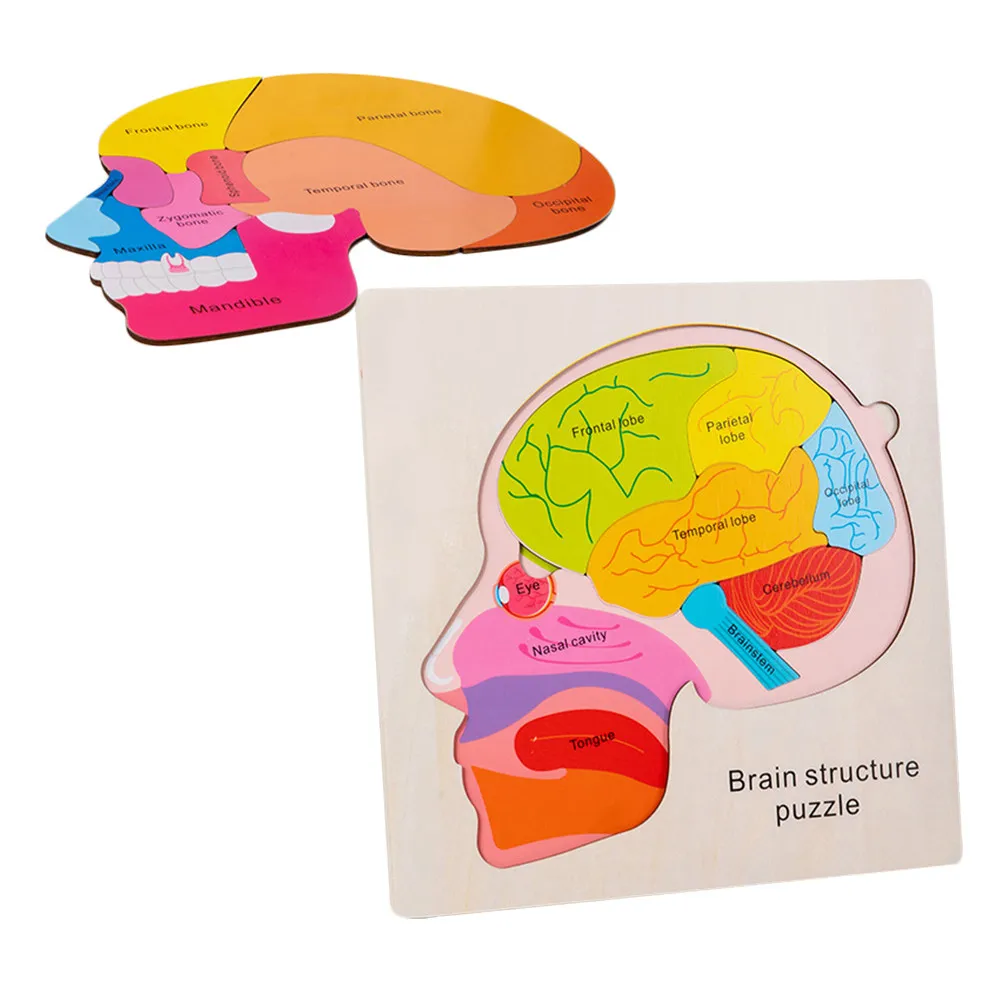 1Set Brain Structure Wooden Puzzle Matching Board Early Education Learning Cognitive Shape Color Recognition Gift for Kids
1Set Brain Structure Wooden Puzzle Matching Board Early Education Learning Cognitive Shape Color Recognition Gift for Kids