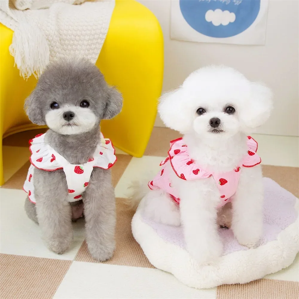 Free shipping New Strawberry Pattern Summer Dress for Dog Pet Clothing Dog Suspender Skirt Cats Puppy Cute Dog Costume Supplies
Free shipping New Strawberry Pattern Summer Dress for Dog Pet Clothing Dog Suspender Skirt Cats Puppy Cute Dog Costume Supplies