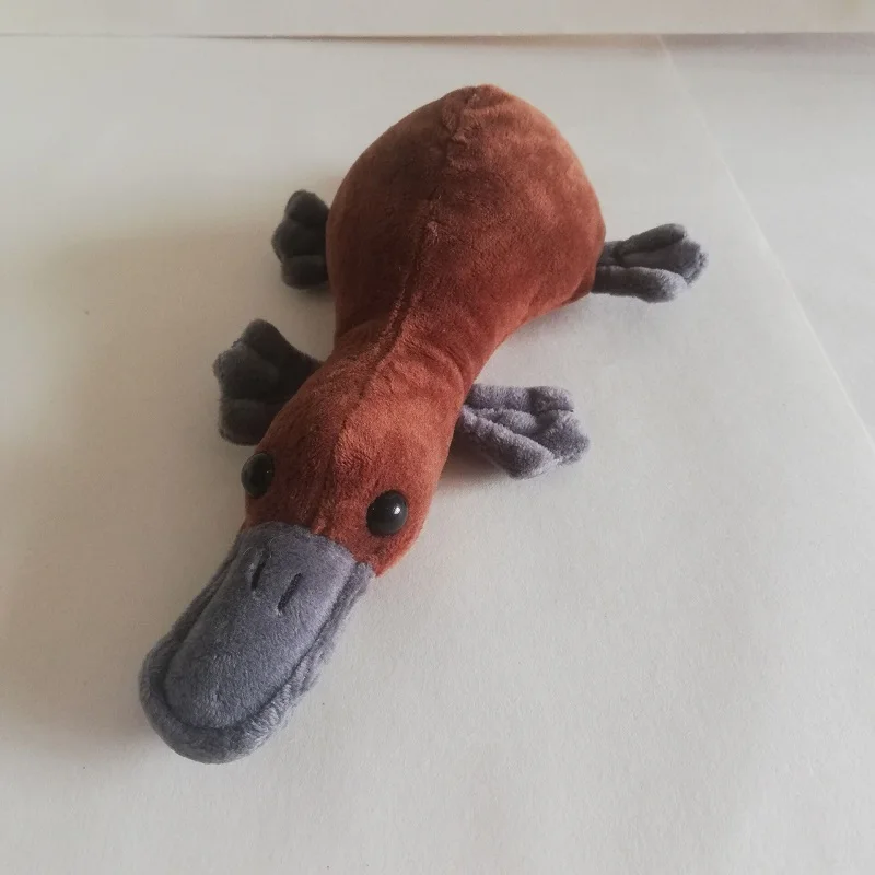 Маленькая плюшевая игрушка Platypus размером 23 см, милая мягкая кукла Platypus, детская игрушка, игрушки для мальчиков и девочек, подарок на день рождения, Рождество s0279
Маленькая плюшевая игрушка Platypus размером 23 см, милая мягкая кукла Platypus, детская игрушка, игрушки для мальчиков и девочек, подарок на день рождения, Рождество s0279