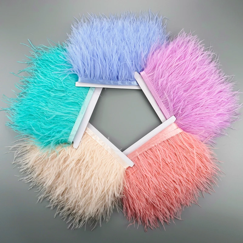 1 Meter Colorful Ostrich Feather Trim 8-10cm Wide Natural Feather Ribbon for Needlework Skirt Decoration and DIY Crafts
1 Meter Colorful Ostrich Feather Trim 8-10cm Wide Natural Feather Ribbon for Needlework Skirt Decoration and DIY Crafts