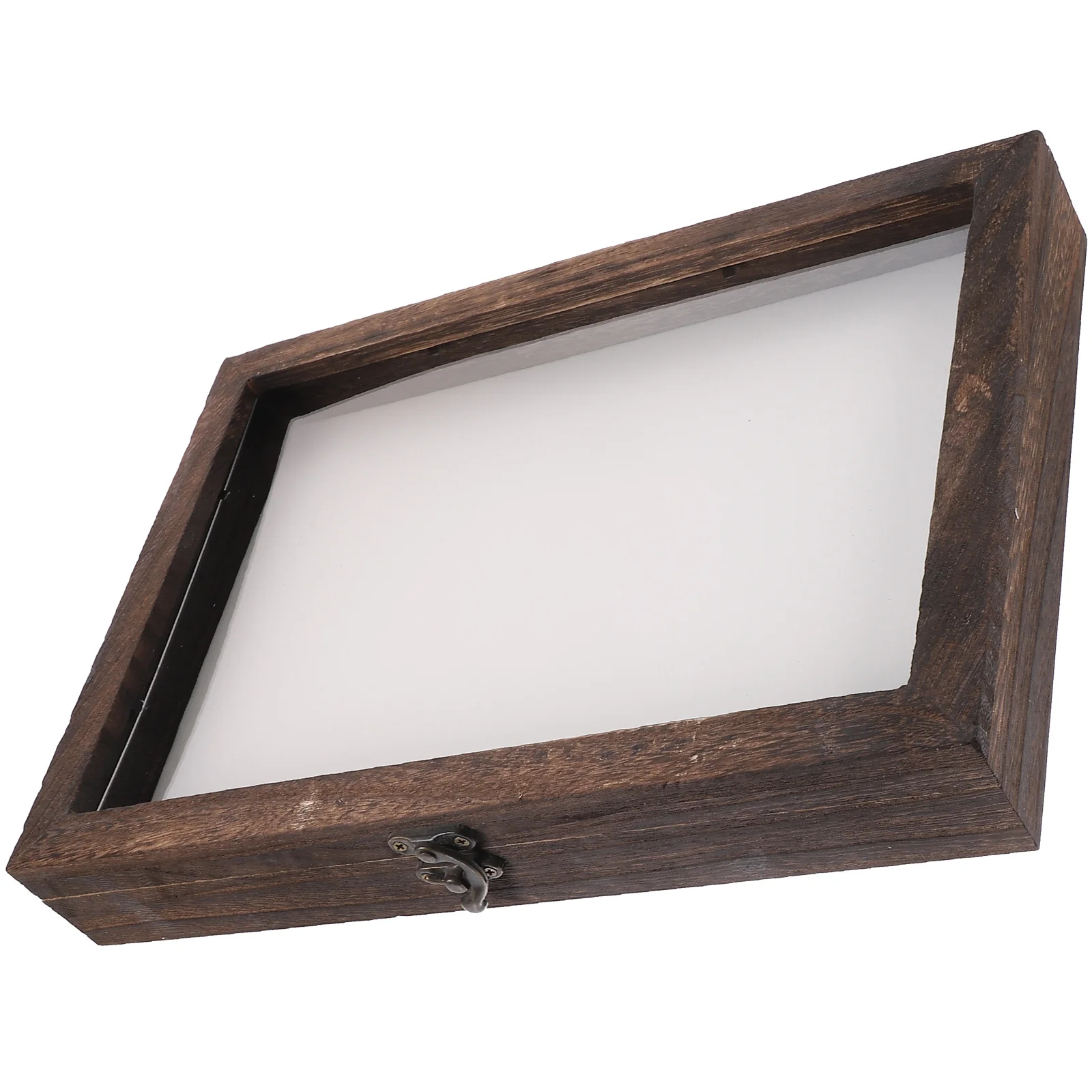 Insect Specimen Box Plant Wood Display Holder Jewelry Case Showcase Acrylic Vintage
Insect Specimen Box Plant Wood Display Holder Jewelry Case Showcase Acrylic Vintage
