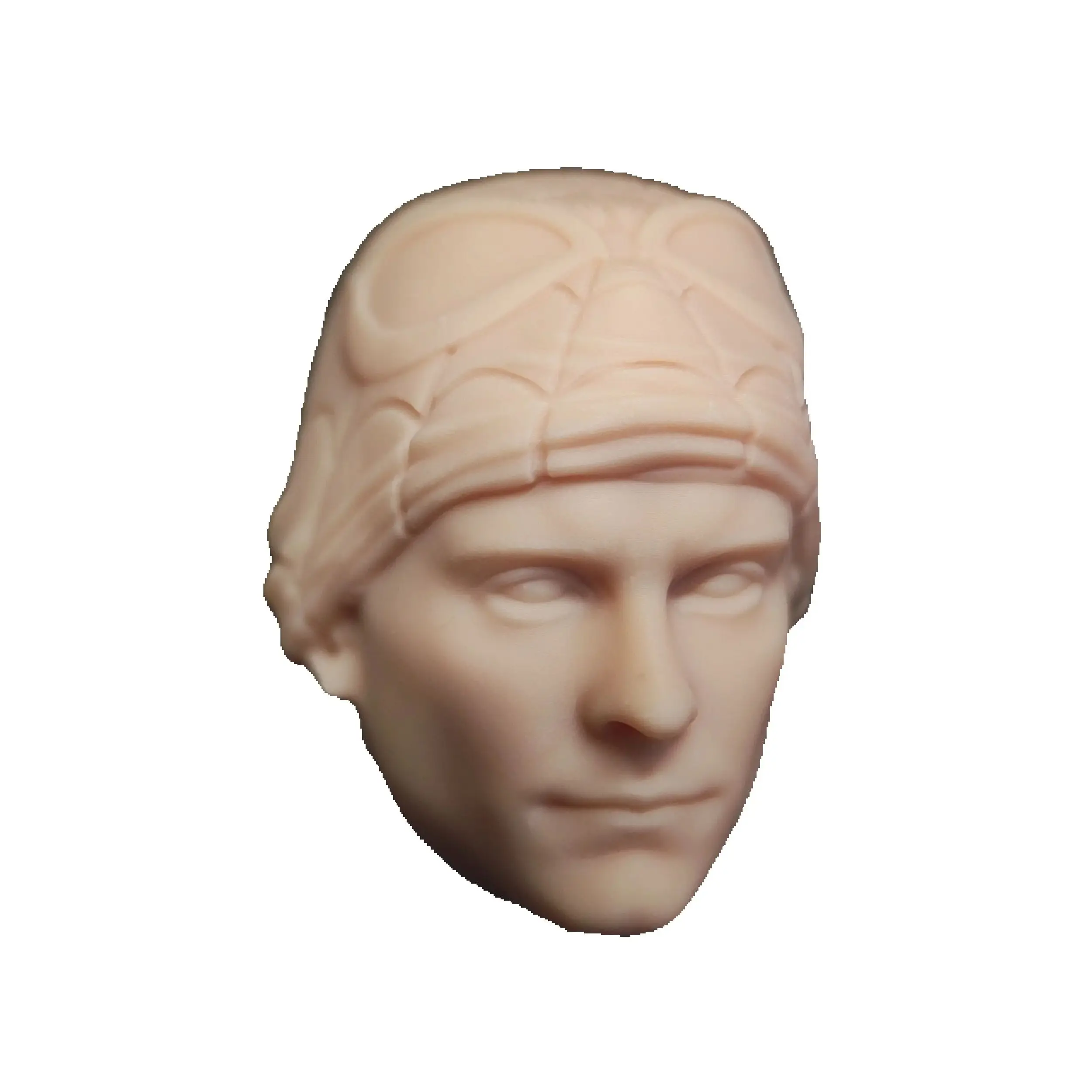 HL1780 DIY Индивидуальный масштаб 1/18 1/12 1/10 Peter P Tobey Неокрашенная голова Sculpt для 3,75 "6" 7 "фигурки SHF ML Mafex Mez NECA Mcf
HL1780 DIY Индивидуальный масштаб 1/18 1/12 1/10 Peter P Tobey Неокрашенная голова Sculpt для 3,75 "6" 7 "фигурки SHF ML Mafex Mez NECA Mcf