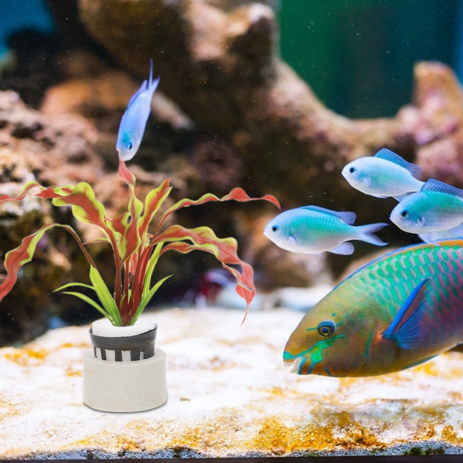 10Sets Water Plant Bases High-Quality Reusable Planting Cups for Aquarium Fish Tank Hydroponic Garden Flexible
10Sets Water Plant Bases High-Quality Reusable Planting Cups for Aquarium Fish Tank Hydroponic Garden Flexible