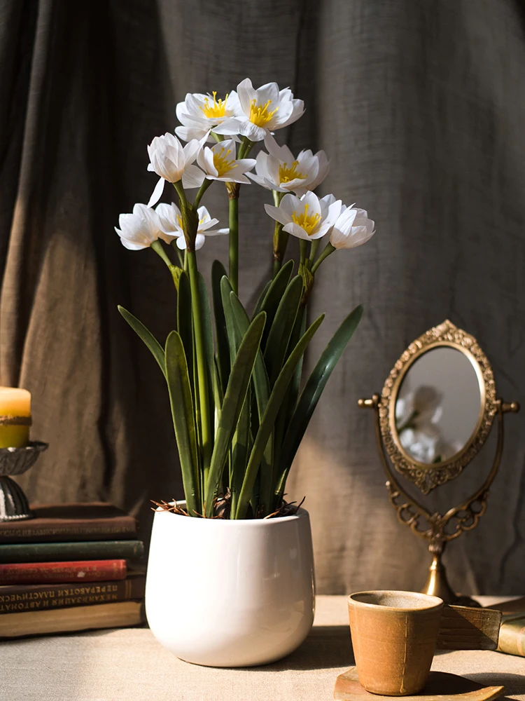Lilac Hyacinth Potted Artificial Flowers Wet Sensation Living Room Indoor Home Decor Bionic Everlasting Fake Flowers Potted S...
Lilac Hyacinth Potted Artificial Flowers Wet Sensation Living Room Indoor Home Decor Bionic Everlasting Fake Flowers Potted S...