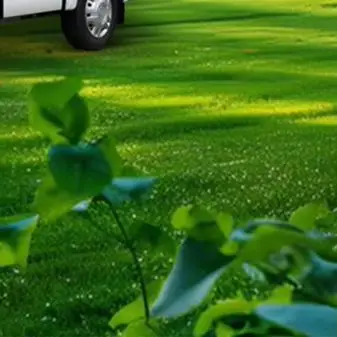 8.5x3m RV Sun Protection Car Cover 210D Oxford Cloth Foldable Motorhome Roof Cover Weather-Resistant for RV Travel Car Supplies
8.5x3m RV Sun Protection Car Cover 210D Oxford Cloth Foldable Motorhome Roof Cover Weather-Resistant for RV Travel Car Supplies