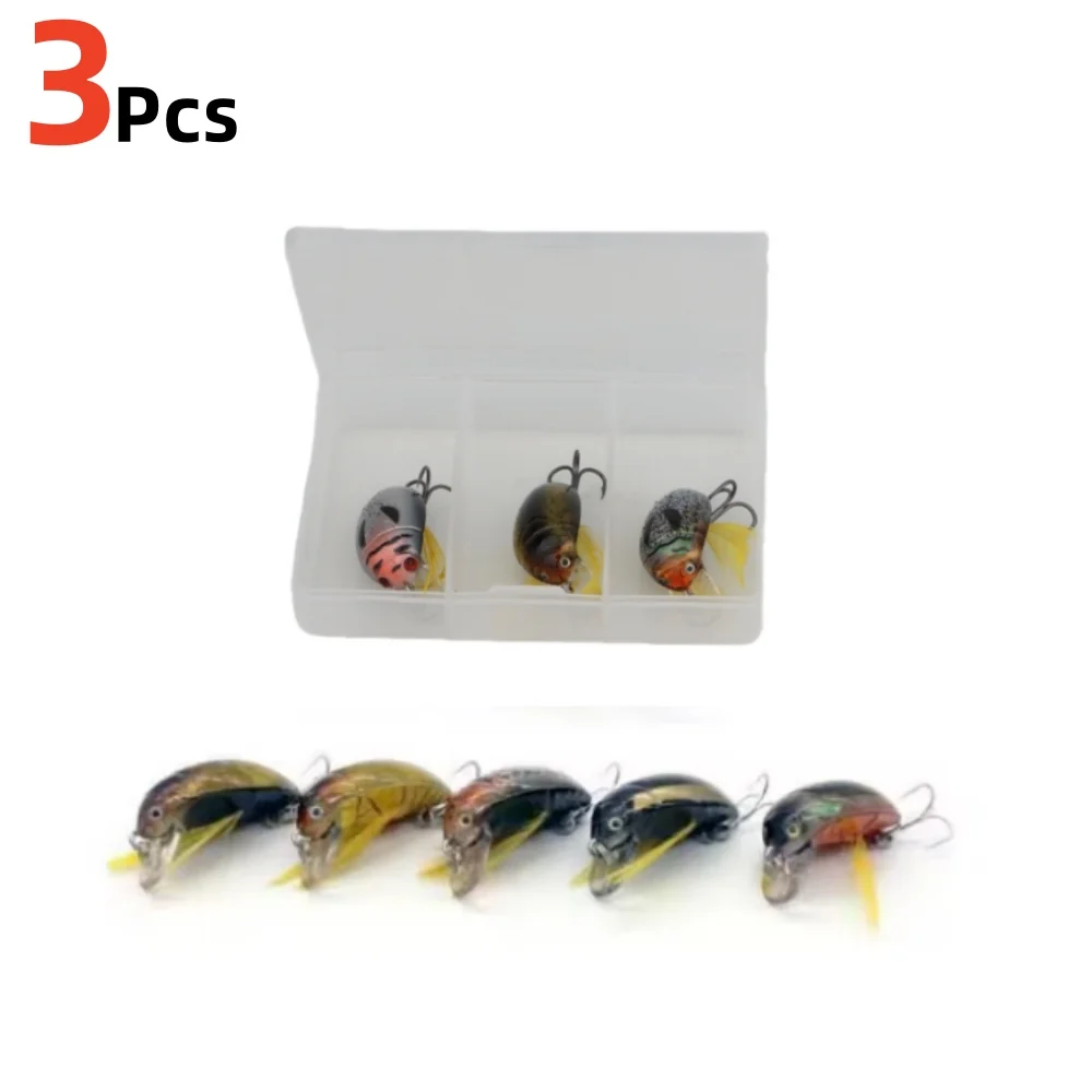 Aroma A box of 3 Fishing Tackle Cicada Bait Fishing Lure Insect Bug Lure Sea Beetle For Bass Carp Fishing Tools
Aroma A box of 3 Fishing Tackle Cicada Bait Fishing Lure Insect Bug Lure Sea Beetle For Bass Carp Fishing Tools