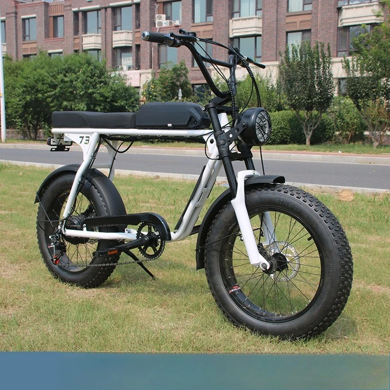 20 inch bicycle snowmobile retro bicycle off-road ATV
20 inch bicycle snowmobile retro bicycle off-road ATV