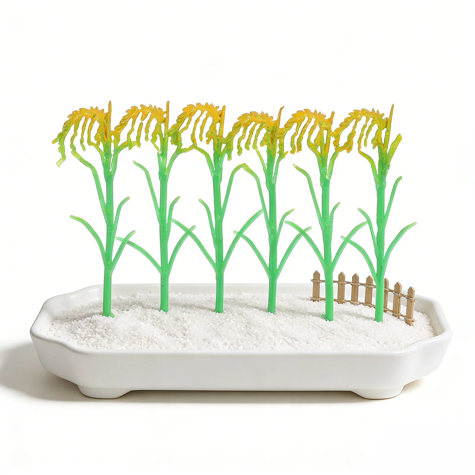 Detailed Synthetic Crop Models Set for Educational Purposes Farming Simulation Classroom Teaching Agriculture Science Lab Decor
Detailed Synthetic Crop Models Set for Educational Purposes Farming Simulation Classroom Teaching Agriculture Science Lab Decor