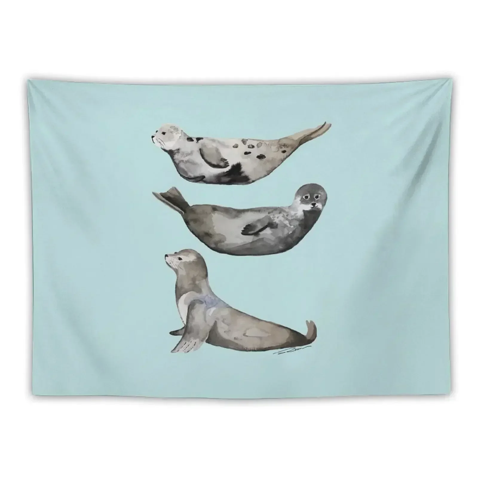 La Jolla Seals Tapestry Room Decor Cute Wall Decorations Home And Comfort Decor Tapestry
La Jolla Seals Tapestry Room Decor Cute Wall Decorations Home And Comfort Decor Tapestry