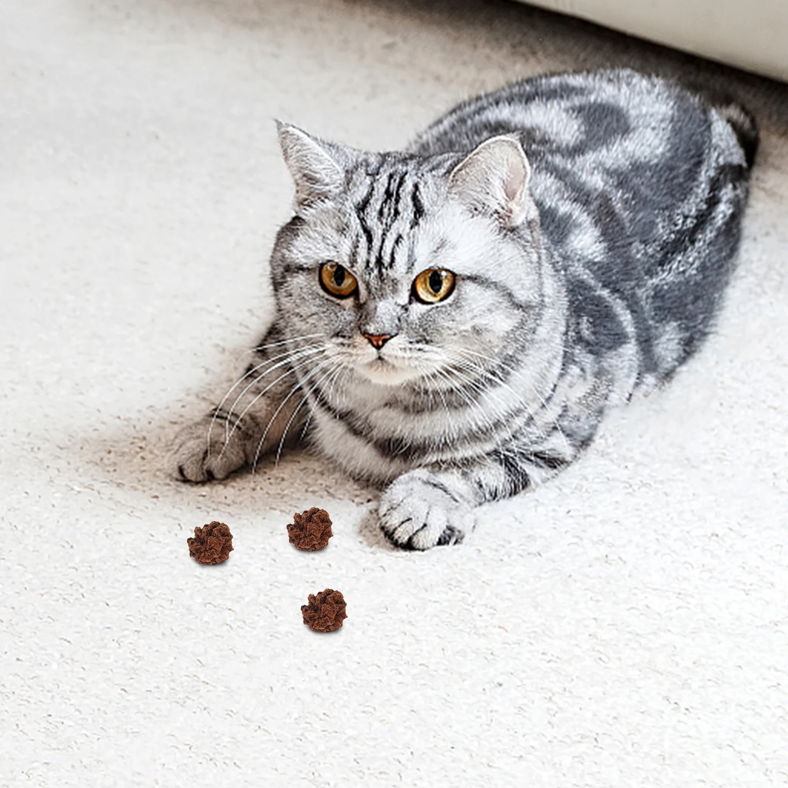 10PCS Pet Silvervine Chew Cat Teeth Grinding Ball Funny Safe Pet Playthings Supplies for Pet Cat Dog 
10PCS Pet Silvervine Chew Cat Teeth Grinding Ball Funny Safe Pet Playthings Supplies for Pet Cat Dog