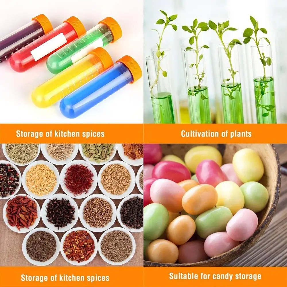 Plastic Centrifuge Tube Holder Early Childhood Education Insect Experimental Toys Centrifuge Tube Laboratory Equipment Dropper
Plastic Centrifuge Tube Holder Early Childhood Education Insect Experimental Toys Centrifuge Tube Laboratory Equipment Dropper