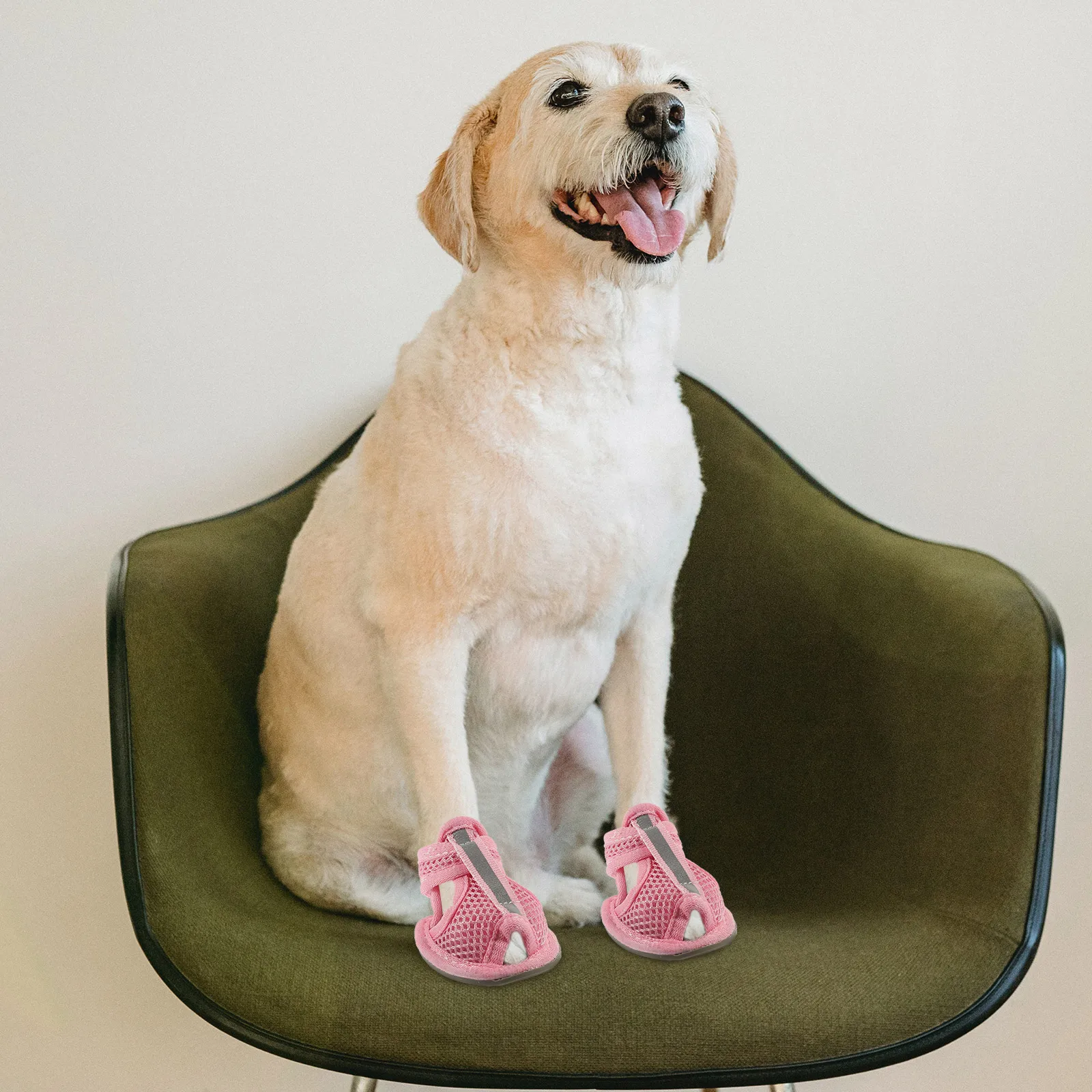 4pcs Pet Dog Shoes Flexible Sole Breathable Mesh Puppy Sandals Anti Slip Hot Pavement Deck Beach Summer Cleaning Easy
4pcs Pet Dog Shoes Flexible Sole Breathable Mesh Puppy Sandals Anti Slip Hot Pavement Deck Beach Summer Cleaning Easy