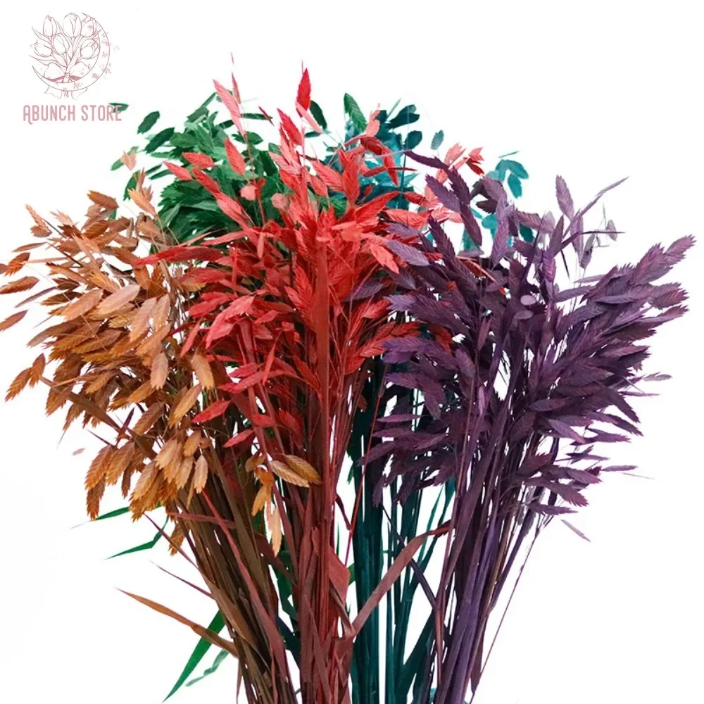 10Pcs Natural Dried Flower Bouquet Home Decor Chasmanthium Latifolium Grass Artificial Plants Wedding Centerpieces for Tables
10Pcs Natural Dried Flower Bouquet Home Decor Chasmanthium Latifolium Grass Artificial Plants Wedding Centerpieces for Tables