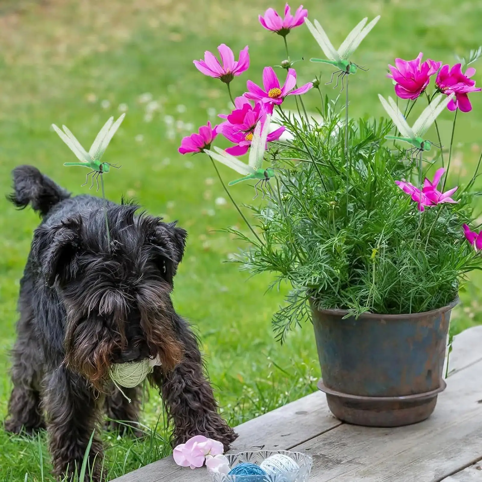 Зажим на стрекозу, 5 шт., украшение для сада, реалистичный, восстанавливающий мух, водонепроницаемый 3D зажим в виде стрекозы для вечеринки, косплея, двора
Зажим на стрекозу, 5 шт., украшение для сада, реалистичный, восстанавливающий мух, водонепроницаемый 3D зажим в виде стрекозы для вечеринки, косплея, двора