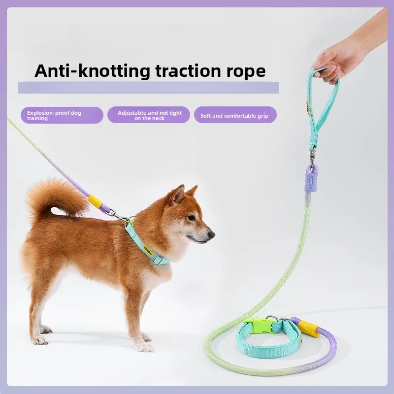 Gradient P-Rope Dog Leash 1.2m Anti-Pull|Wide Neck Pad|10mm/12mm|No Tangle|All Breeds
Gradient P-Rope Dog Leash 1.2m Anti-Pull|Wide Neck Pad|10mm/12mm|No Tangle|All Breeds