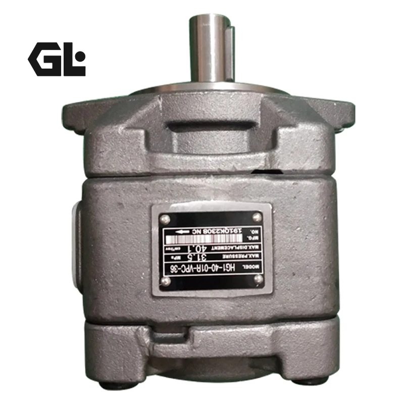 HG1 Series Internal Gear Pump HG1-25-01R-VPC-36 HG1-40-01R-VPC-36 HG1-63-01R-VPC High Pressure Pump Gear Hydraulic Pump
HG1 Series Internal Gear Pump HG1-25-01R-VPC-36 HG1-40-01R-VPC-36 HG1-63-01R-VPC High Pressure Pump Gear Hydraulic Pump