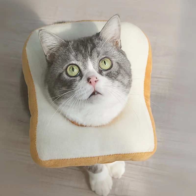 Soft Adjustable Cute Toast-Shaped Elizabethan Cat Collar - Recovery Cone for Post-Surgery Healing & Grooming
Soft Adjustable Cute Toast-Shaped Elizabethan Cat Collar - Recovery Cone for Post-Surgery Healing & Grooming