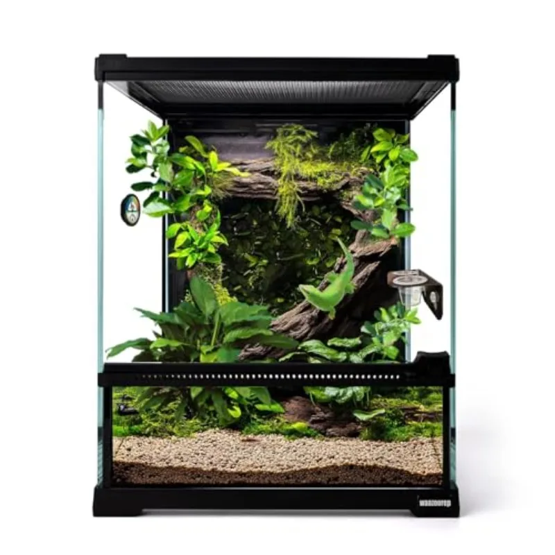 Mini Reptile Glass Terrarium Tank 8'*8'*10' Full View with Front Opening DoorAmphibians Enclosure Habitat Cage for Leopard Gecko Tarantula Young Hermit Crab Frog Insects Breeding
Mini Reptile Glass Terrarium Tank 8'*8'*10' Full View with Front Opening DoorAmphibians Enclosure Habitat Cage for Leopard Gecko Tarantula Young Hermit Crab Frog Insects Breeding
