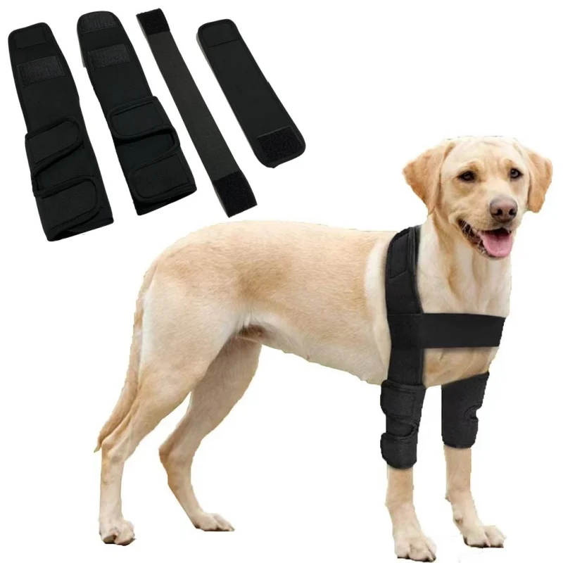 Dog Knee Brace Injuries Leg Brace Surgical Joint Wrap Dog Wounds Heals Canine Front Leg Arthritis Prevents Dogs Medical Supplies
Dog Knee Brace Injuries Leg Brace Surgical Joint Wrap Dog Wounds Heals Canine Front Leg Arthritis Prevents Dogs Medical Supplies