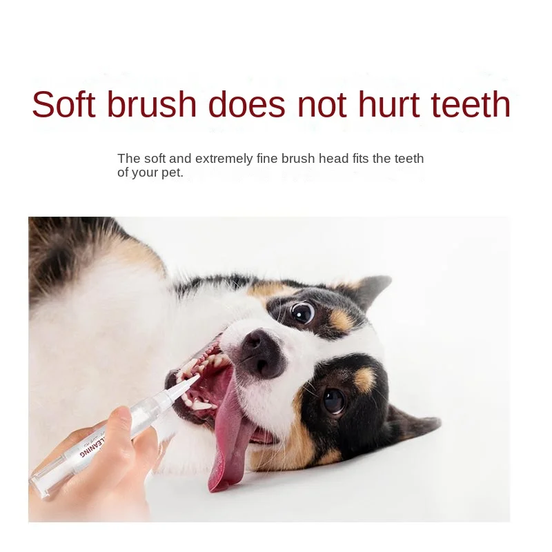 Dog tartar remover Kojima pet cleaning pen cat teeth cleaning supplies tartar softening to7.21
Dog tartar remover Kojima pet cleaning pen cat teeth cleaning supplies tartar softening to7.21