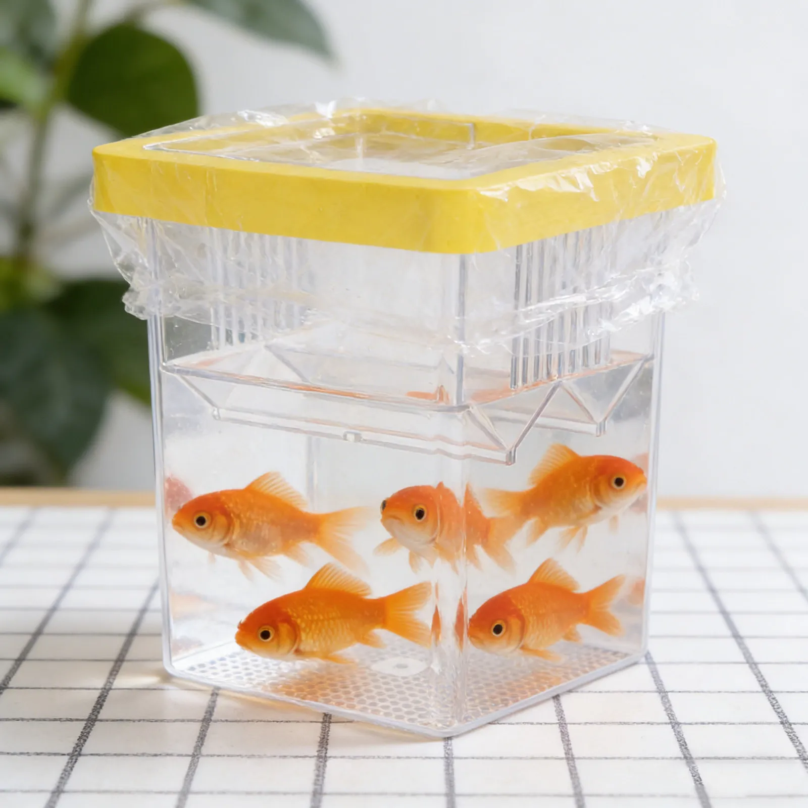 Floating Fish Breeding Box for Aquarium Clear Acrylic Hatchery with Suction Cups for Betta Guppies Shrimp Fry Breeding and
Floating Fish Breeding Box for Aquarium Clear Acrylic Hatchery with Suction Cups for Betta Guppies Shrimp Fry Breeding and