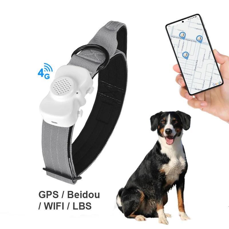 stll 2025 New Oem Cat Dog Animal Mini Tracker Sleep Motion Tracking Device Health Wifi Bluetooth Gps Collar for Pet Outd
stll 2025 New Oem Cat Dog Animal Mini Tracker Sleep Motion Tracking Device Health Wifi Bluetooth Gps Collar for Pet Outd