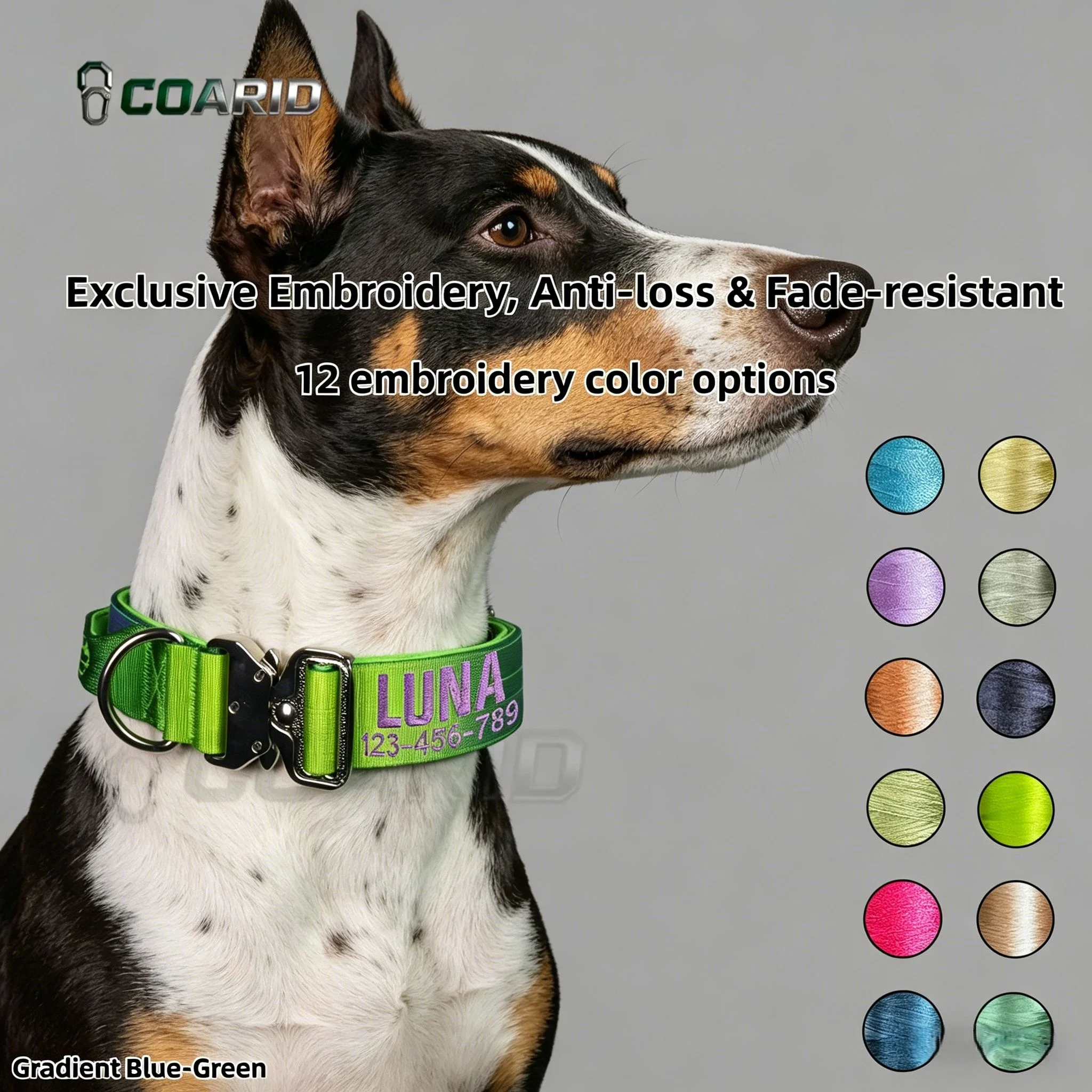 Custom Embroidered Dog Collar Name Phone Anti Lost Heavy Duty Adjustable Gradient Knitted Pet Collar Personalized
Custom Embroidered Dog Collar Name Phone Anti Lost Heavy Duty Adjustable Gradient Knitted Pet Collar Personalized