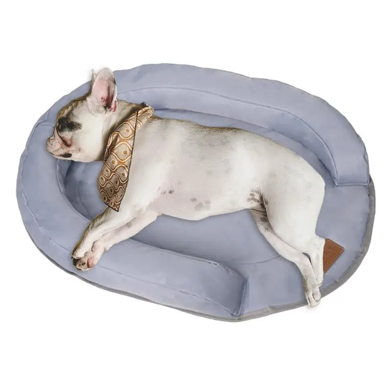 2024 Summer Dog Gel Bed Thick Mat Pet Cooling Pad Washable Ice Bed Mattress foldable cat Cushion Blanket indoor pet supplies
2024 Summer Dog Gel Bed Thick Mat Pet Cooling Pad Washable Ice Bed Mattress foldable cat Cushion Blanket indoor pet supplies