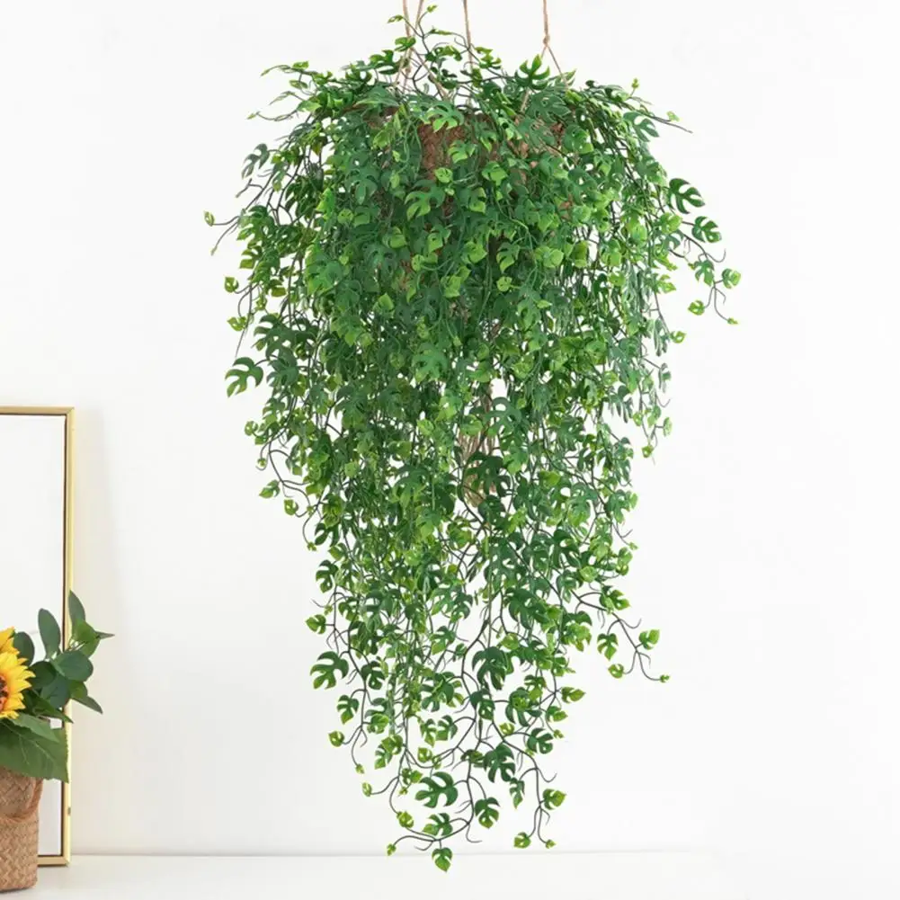 Patio Greenery with Artificial Vines Simulated Monstera Vine Realistic Indoor Ceiling Decoration Year-round Monstera Vine No
Patio Greenery with Artificial Vines Simulated Monstera Vine Realistic Indoor Ceiling Decoration Year-round Monstera Vine No